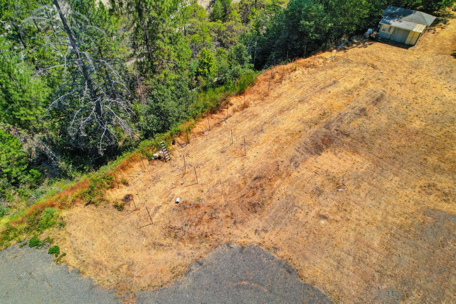 15310 Tyler Foote Road Nevada City, CA 95959 - Photo 62 of 63 a view of a yard with trees