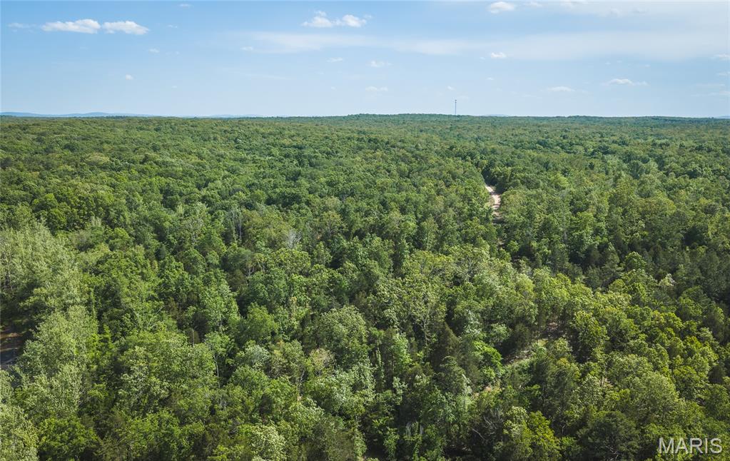 0 Rainbow Springs Acres Road Bonne Terre, MO 63628 - Photo 12 of 27
