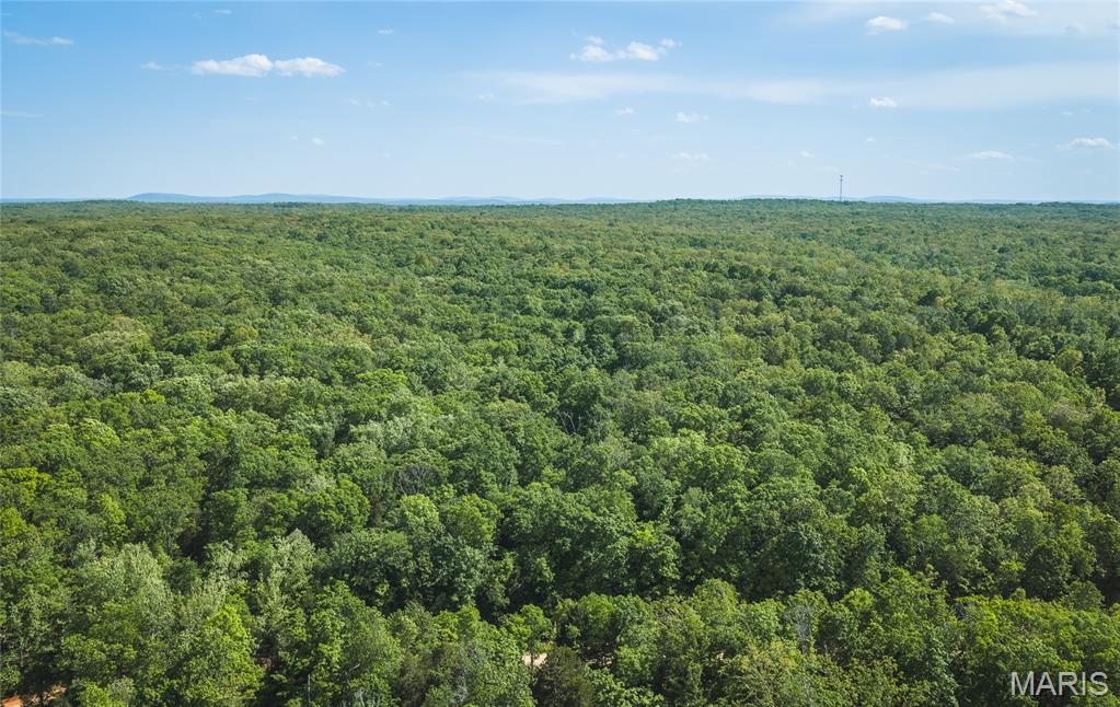 0 Rainbow Springs Acres Road Bonne Terre, MO 63628 - Photo 13 of 27