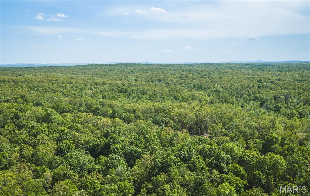 0 Rainbow Springs Acres Road Bonne Terre, MO 63628 - Photo 20 of 27