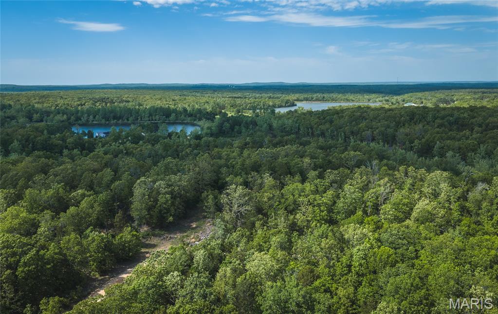 0 Rainbow Springs Acres Road Bonne Terre, MO 63628 - Photo 21 of 27