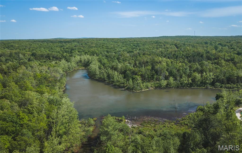 0 Rainbow Springs Acres Road Bonne Terre, MO 63628 - Photo 26 of 27
