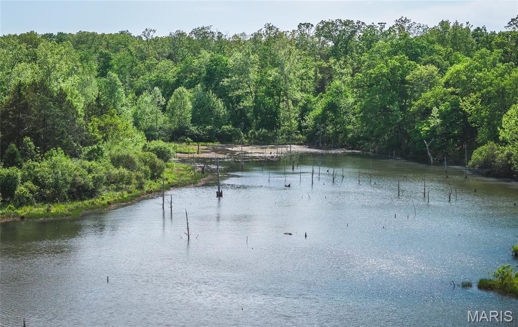 0 Rainbow Springs Acres Road Bonne Terre, MO 63628 - Photo 6 of 27