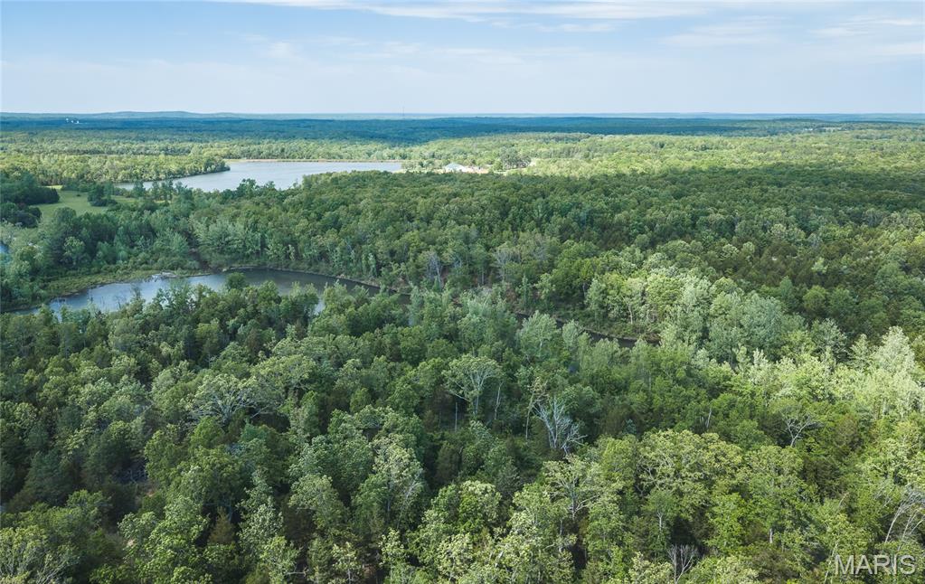 0 Rainbow Springs Acres Road Bonne Terre, MO 63628 - Photo 10 of 27