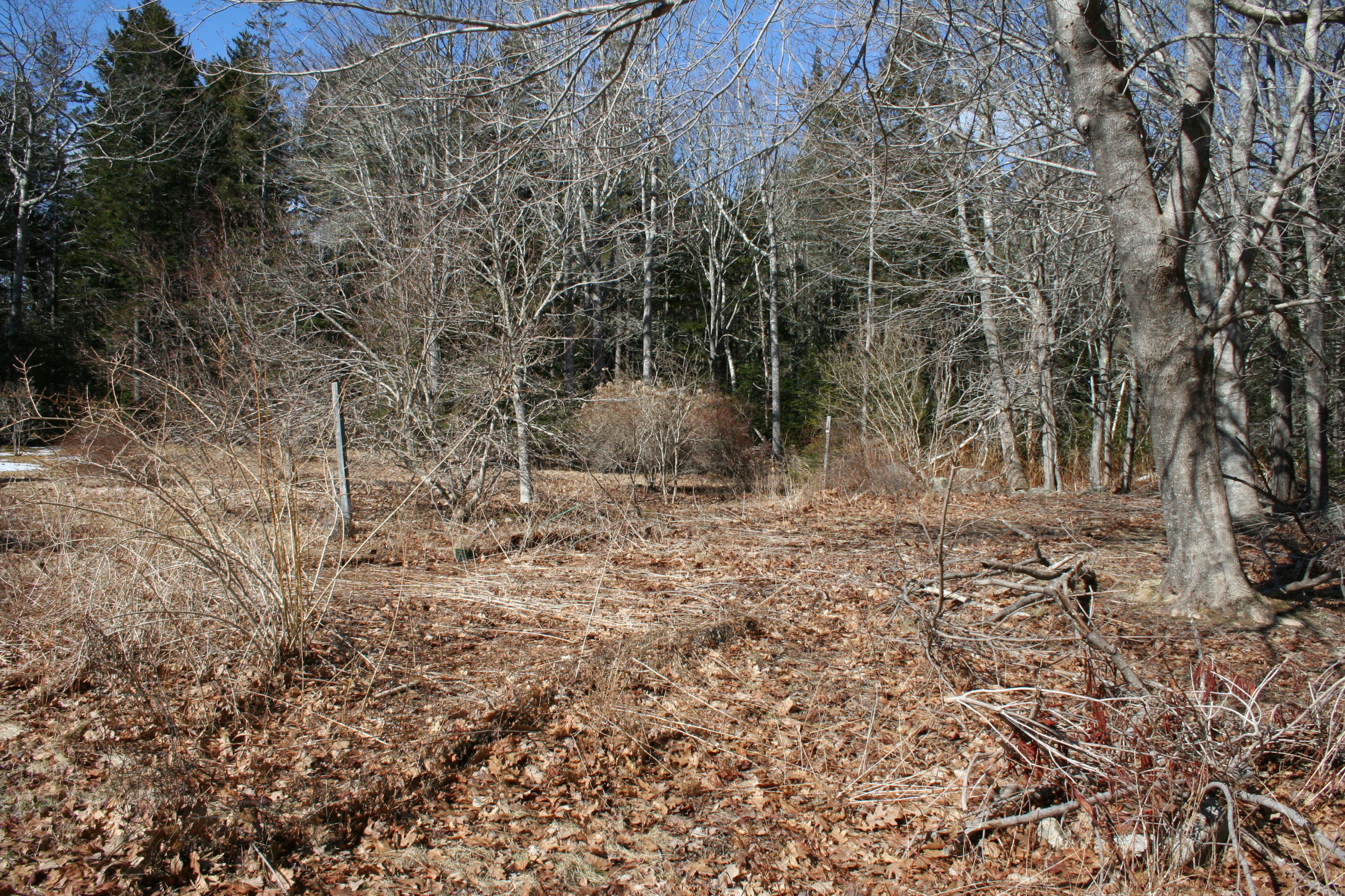 2775 Bristol Road Bristol, ME 04554 - Photo 22 of 54 2775 back yard a