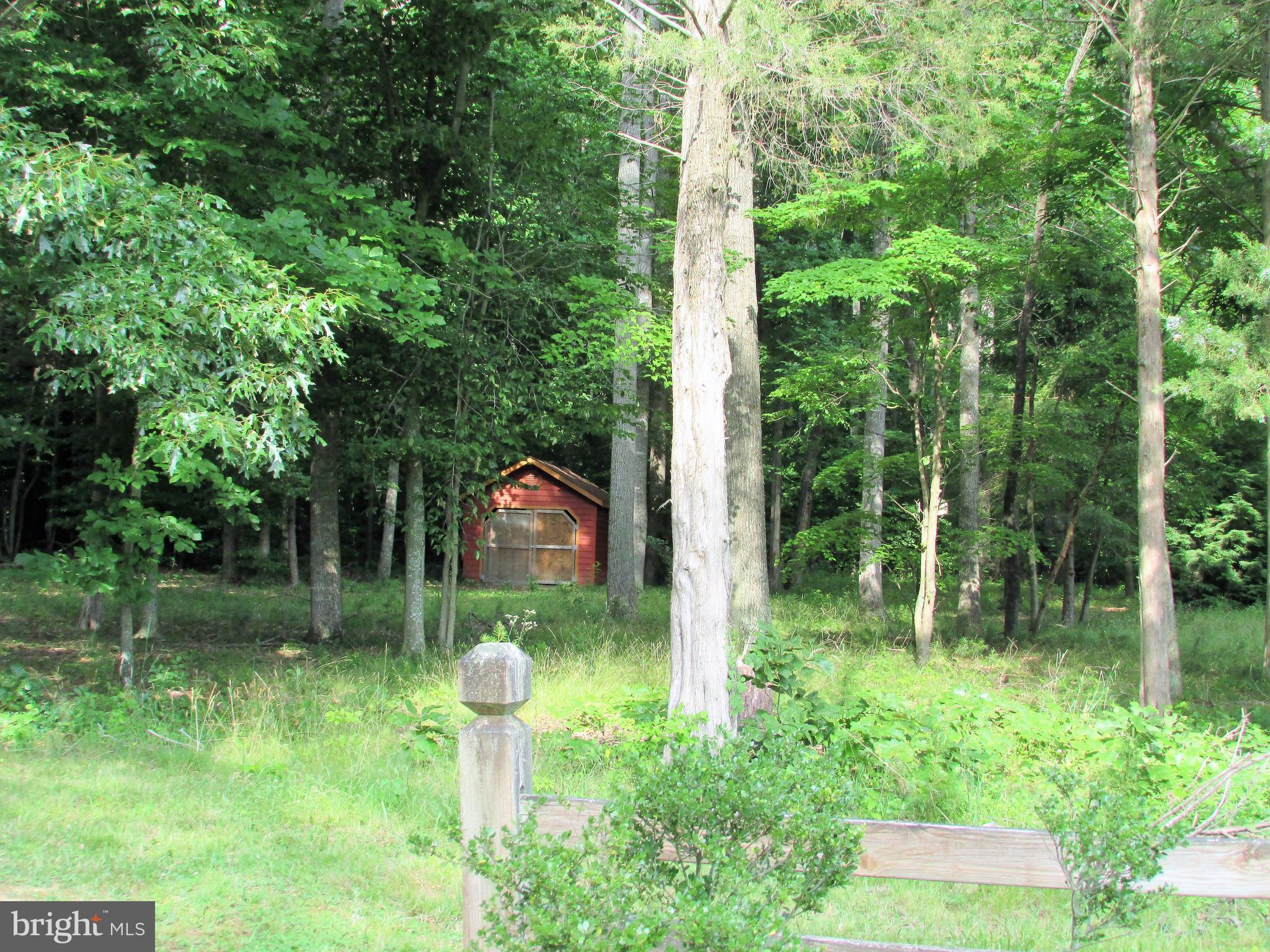 7101 Old Dickersons Road Orange, VA 22960 - Photo 3 of 29 VIEW FROM OLD DICKERSON RD INTO LOT