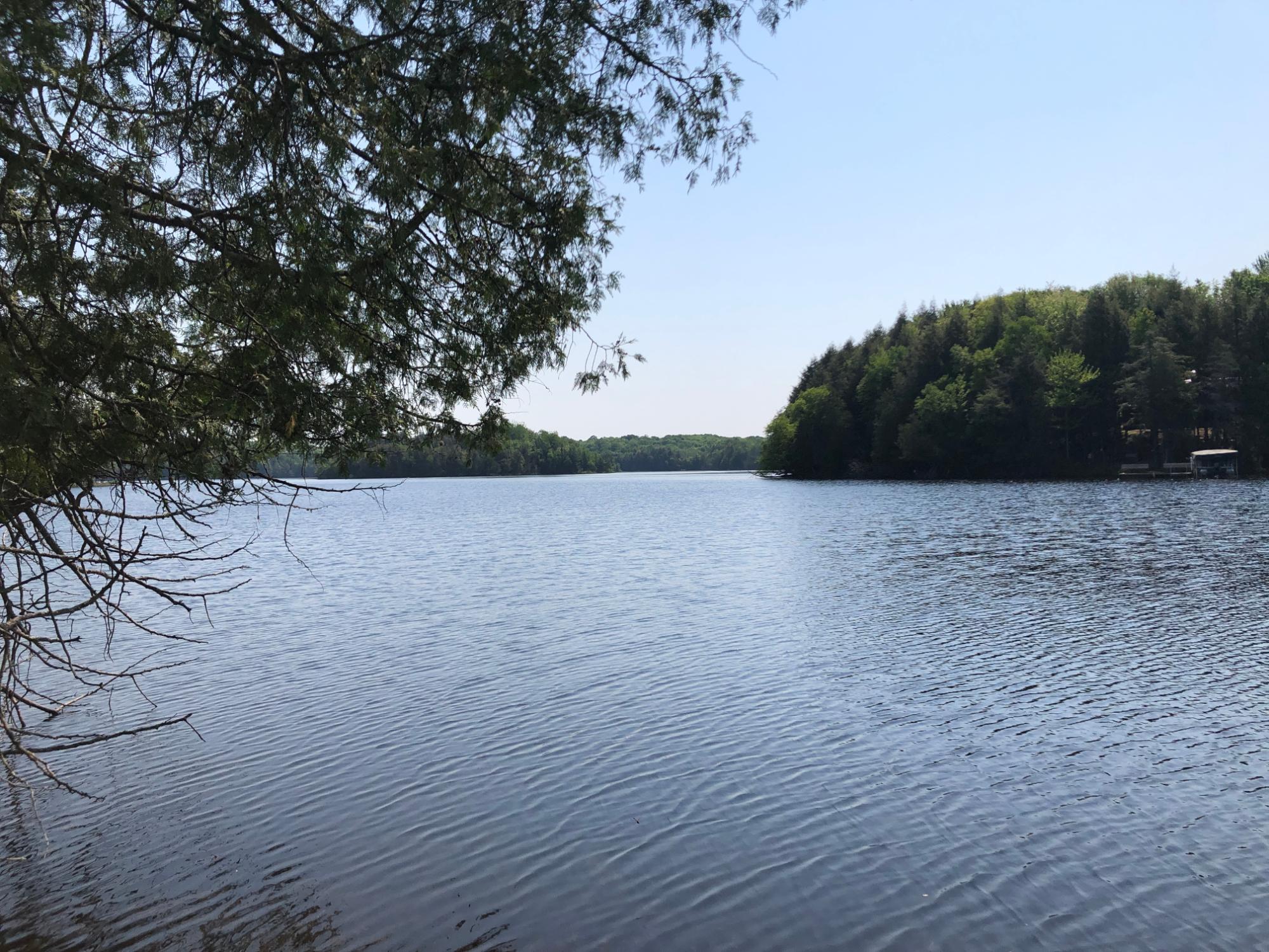 7648 Crab Lake Road Presque Isle, WI 54557 - Photo 57 of 70 Gallery Image 57