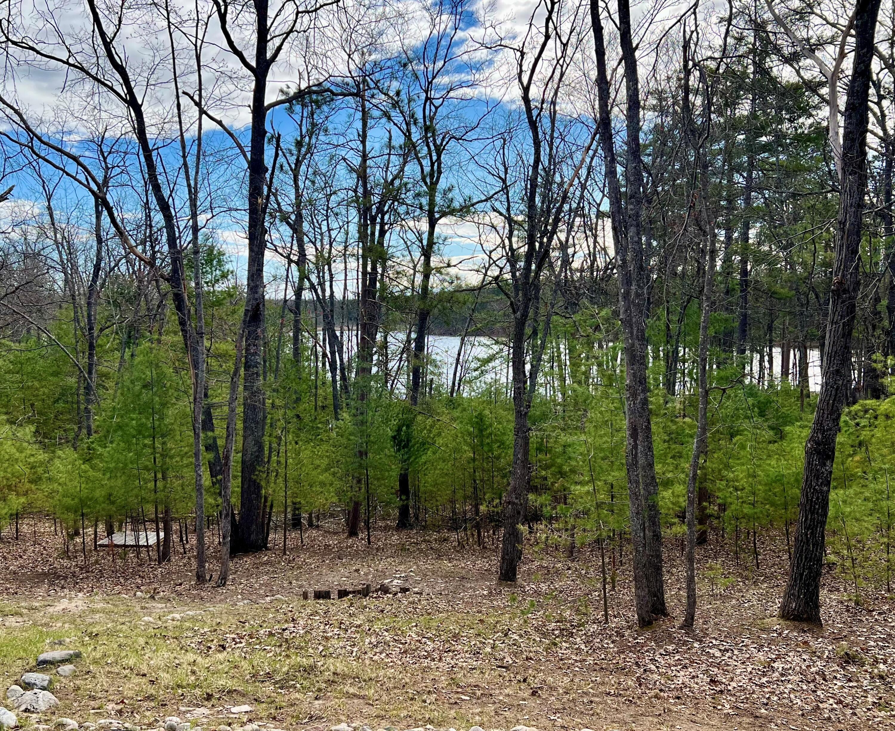 24089 Ranch House Trail Atlanta, MI 49709 - Photo 11 of 61 Gallery Image 11