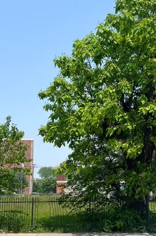 $150,000 | 3334 West Warren Boulevard, Chicago, IL 60624