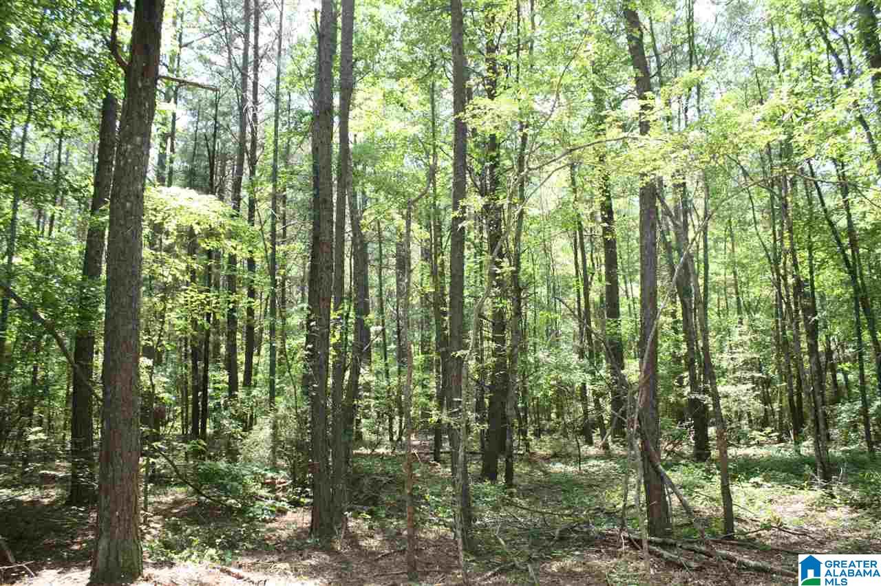 810 Weeks Drive, Unit 152 ACRES Delta, AL 36258 - Photo 22 of 24