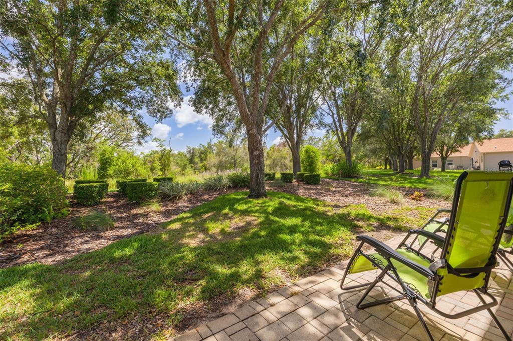 11078 Heathrow Avenue Spring Hill, FL 34609 - Photo 24 of 43