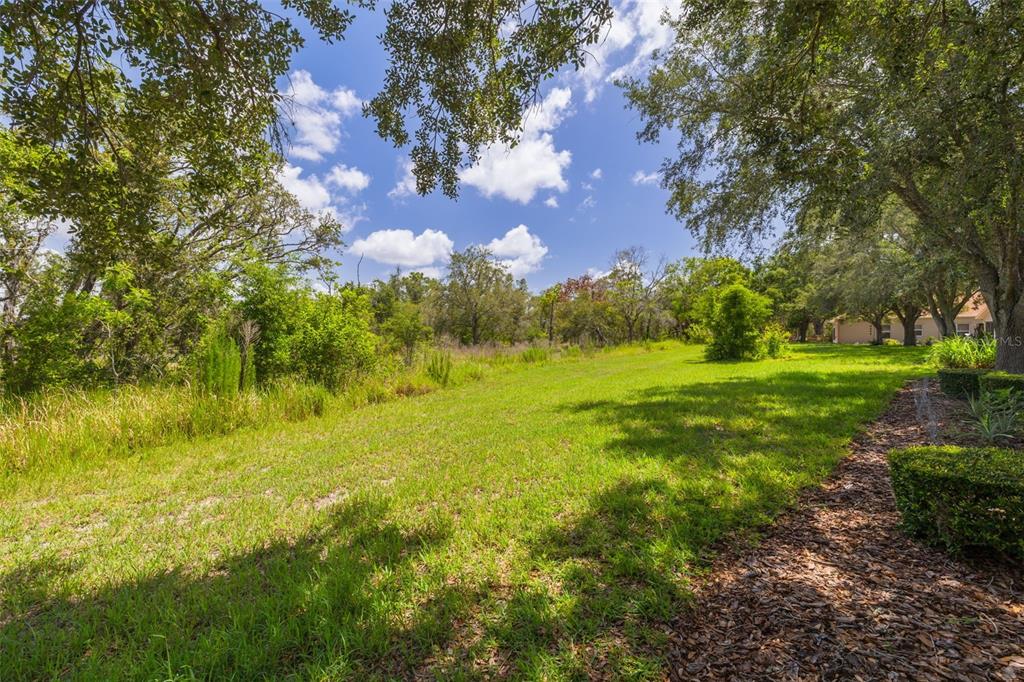 11078 Heathrow Avenue Spring Hill, FL 34609 - Photo 25 of 43