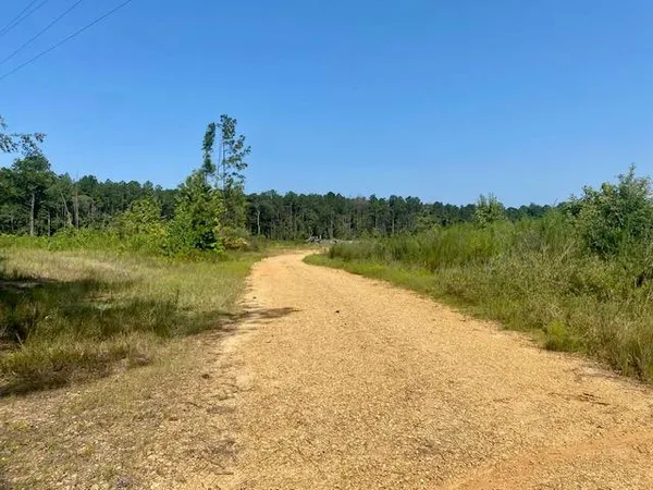 $252,000 | 0 Robert Jones Road, Summit, MS 39666