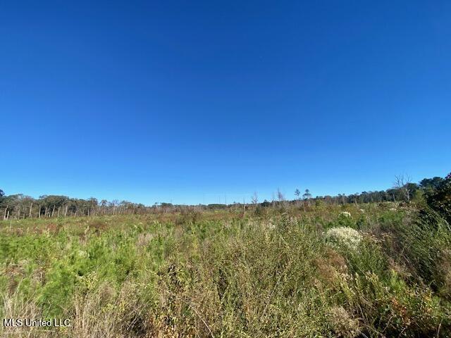 0 Robert Jones Road Summit, MS 39666 - Photo 12 of 21 IMG_5742
