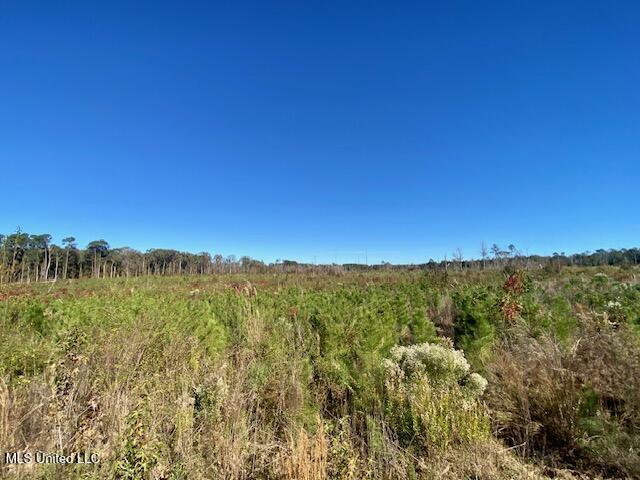0 Robert Jones Road Summit, MS 39666 - Photo 13 of 21 IMG_5743
