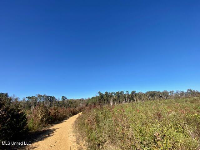 0 Robert Jones Road Summit, MS 39666 - Photo 14 of 21 IMG_5744