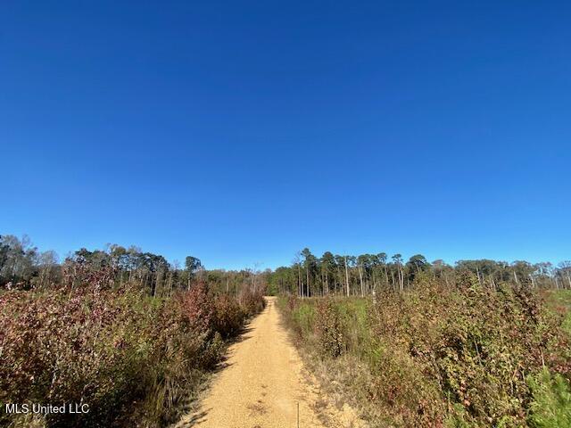 0 Robert Jones Road Summit, MS 39666 - Photo 15 of 21 IMG_5745