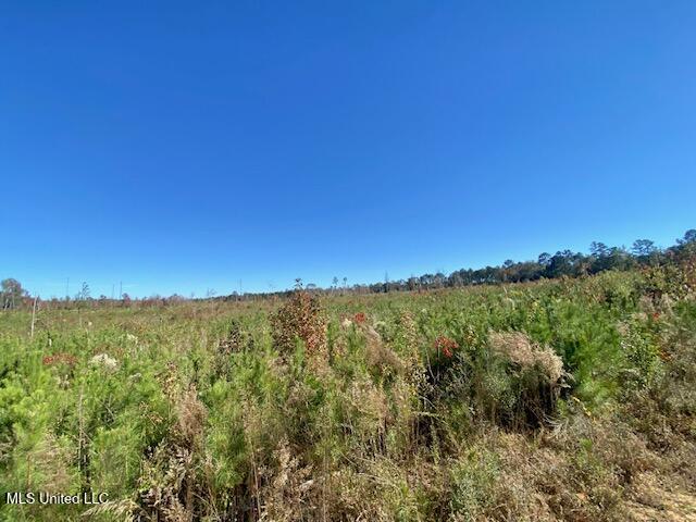 0 Robert Jones Road Summit, MS 39666 - Photo 17 of 21 IMG_5747