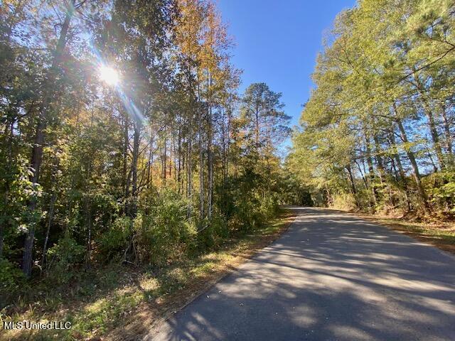 0 Robert Jones Road Summit, MS 39666 - Photo 19 of 21 IMG_5749