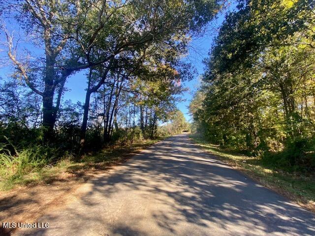 0 Robert Jones Road Summit, MS 39666 - Photo 20 of 21 IMG_5750