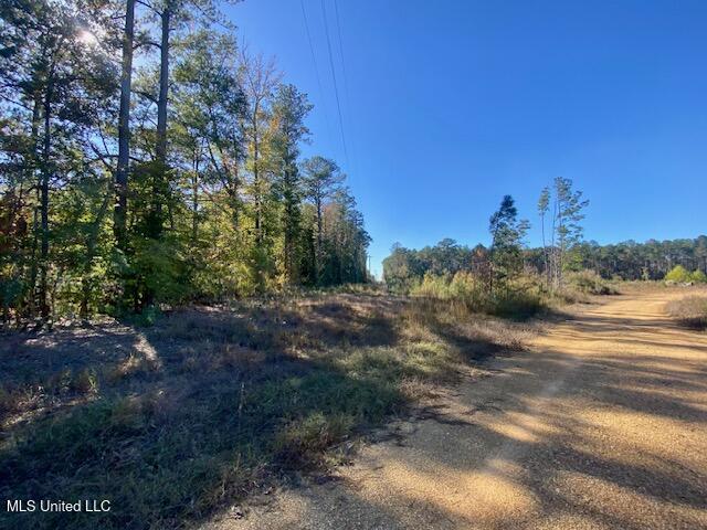 0 Robert Jones Road Summit, MS 39666 - Photo 2 of 21 IMG_5732
