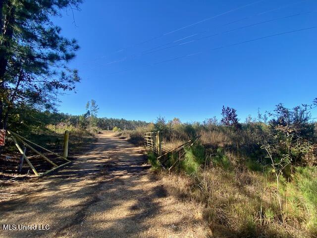 0 Robert Jones Road Summit, MS 39666 - Photo 21 of 21 IMG_5751
