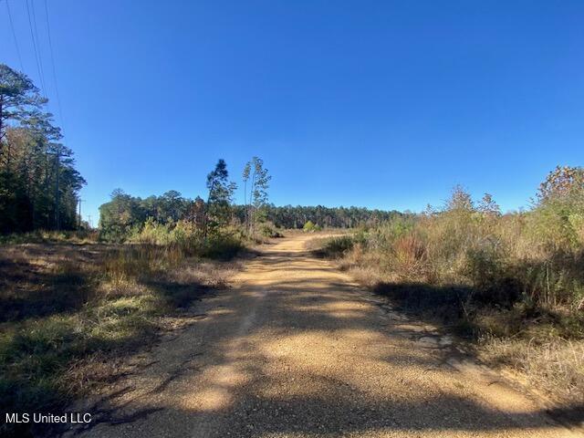 0 Robert Jones Road Summit, MS 39666 - Photo 3 of 21 IMG_5733