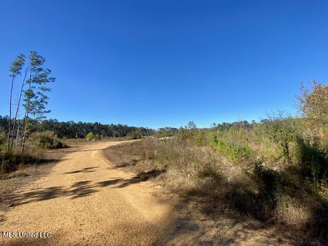 0 Robert Jones Road Summit, MS 39666 - Photo 4 of 21 IMG_5734