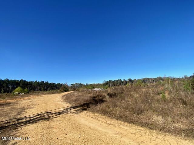 0 Robert Jones Road Summit, MS 39666 - Photo 5 of 21 IMG_5735