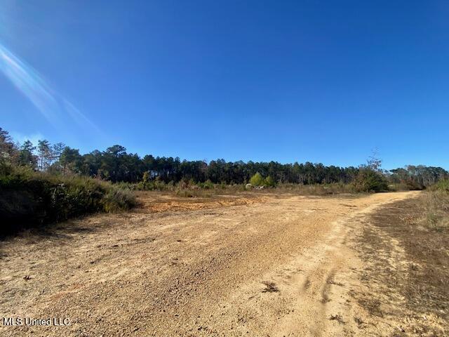0 Robert Jones Road Summit, MS 39666 - Photo 7 of 21 IMG_5737
