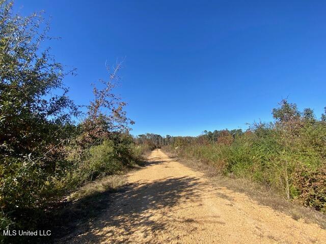 0 Robert Jones Road Summit, MS 39666 - Photo 9 of 21 IMG_5739