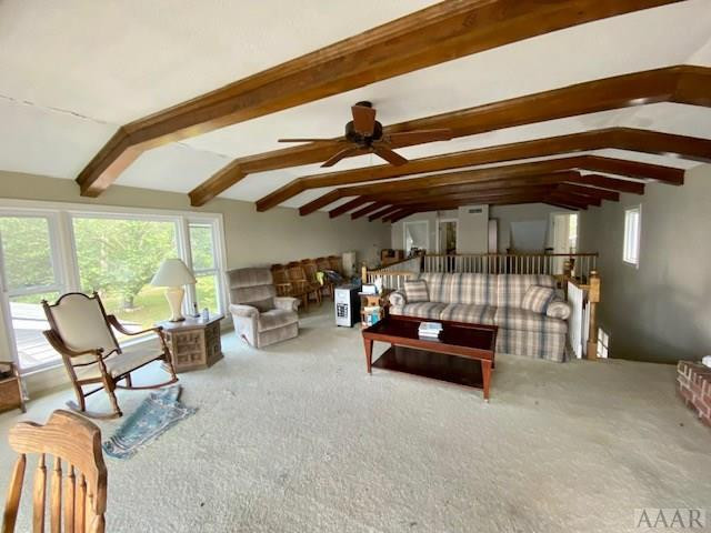 491 Breezy Banks Road Roper, NC 27970 - Photo 34 of 56