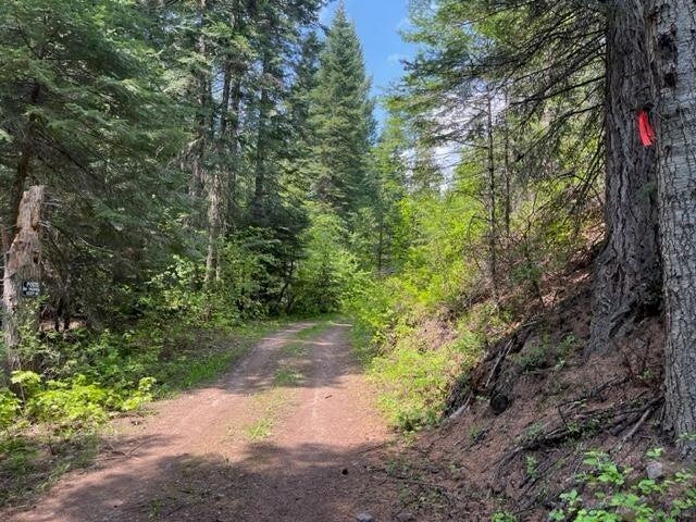 2024-tbd Summit Valley Road Addy, WA 99101 - Photo 1 of 18