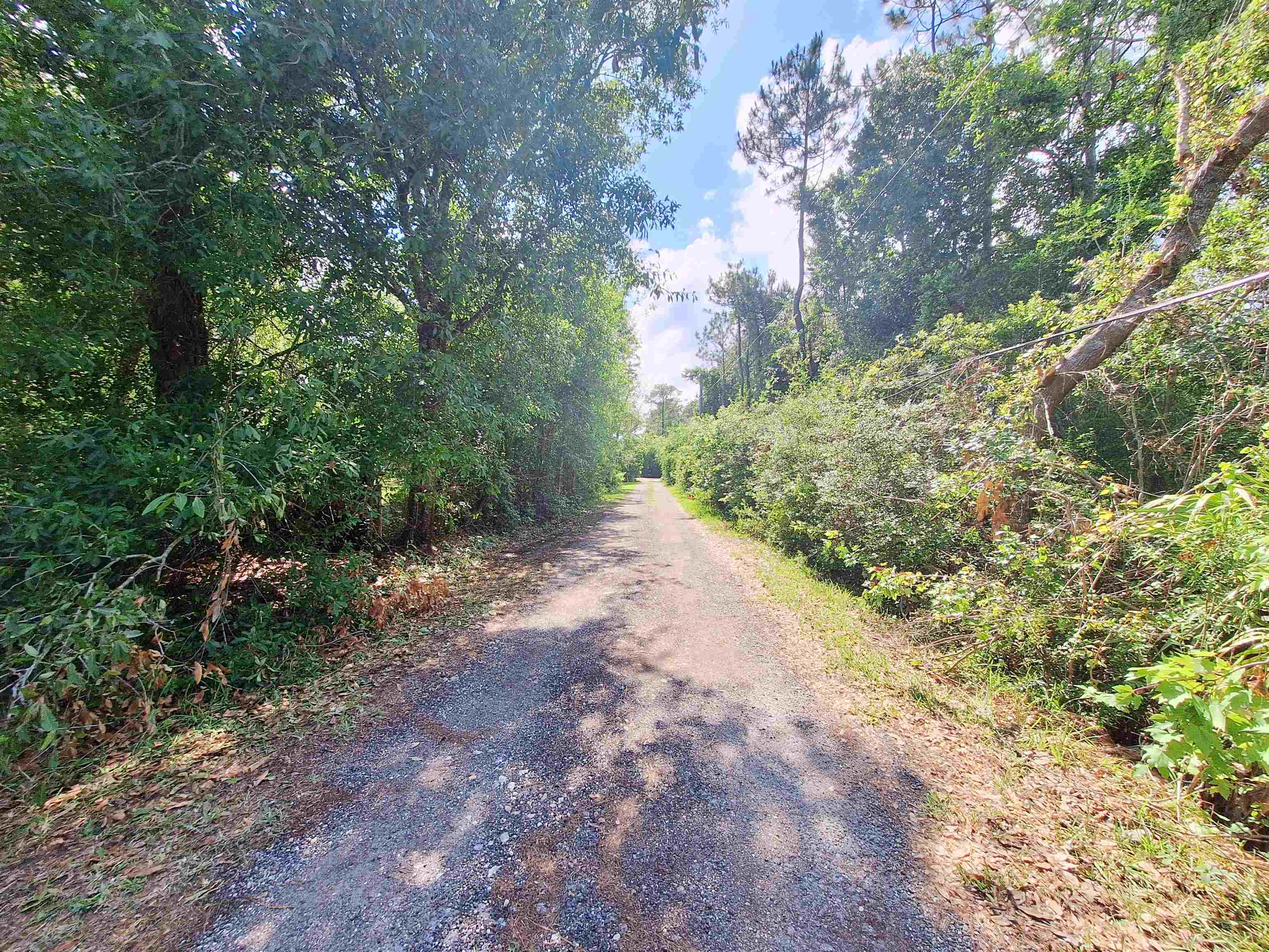 5610 Datil Pepper Road St. Augustine, FL 32086 - Photo 28 of 48