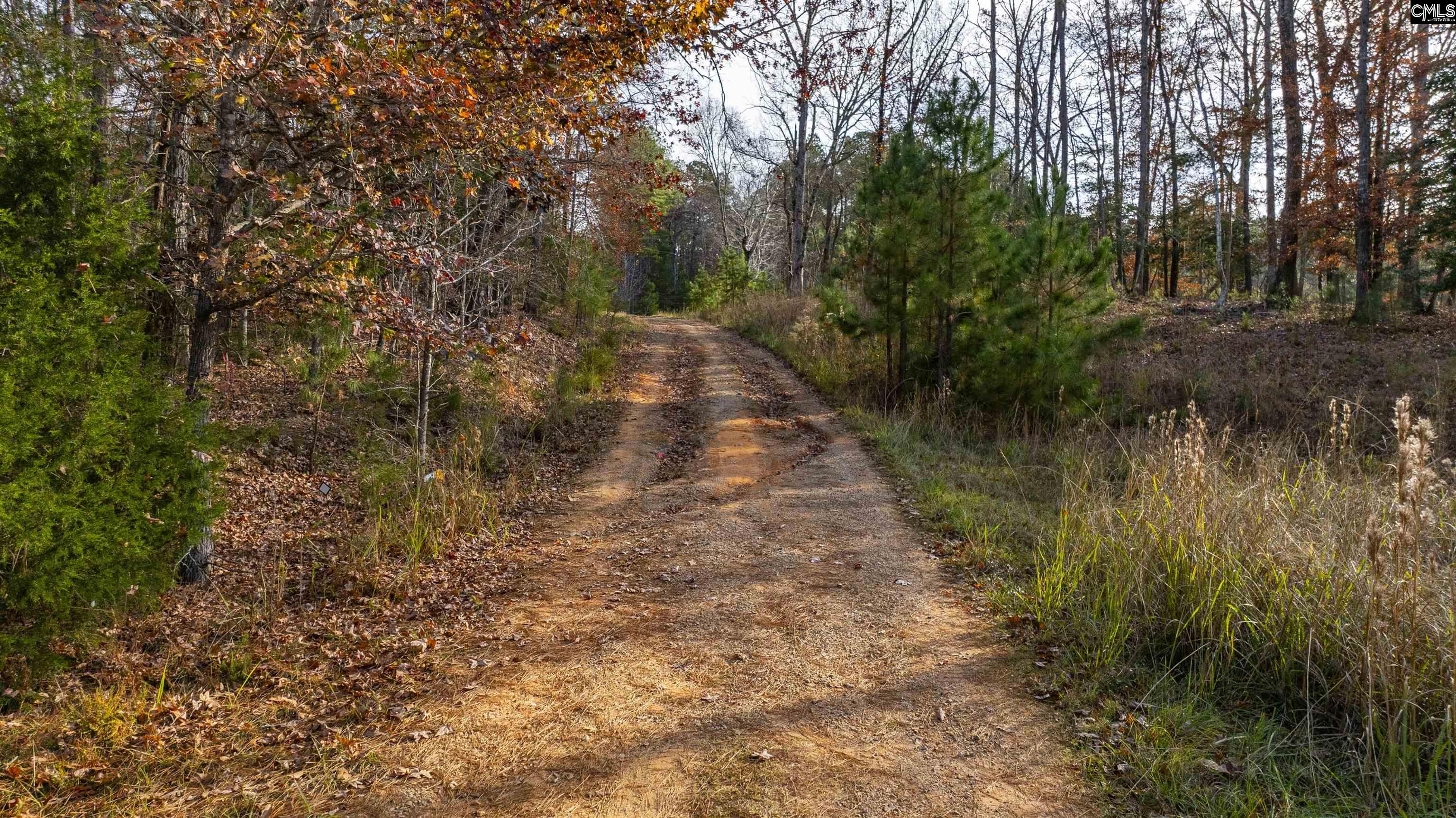 Ne South Muddy Ford Road Little Mountain, SC 29075 - Photo 3 of 3