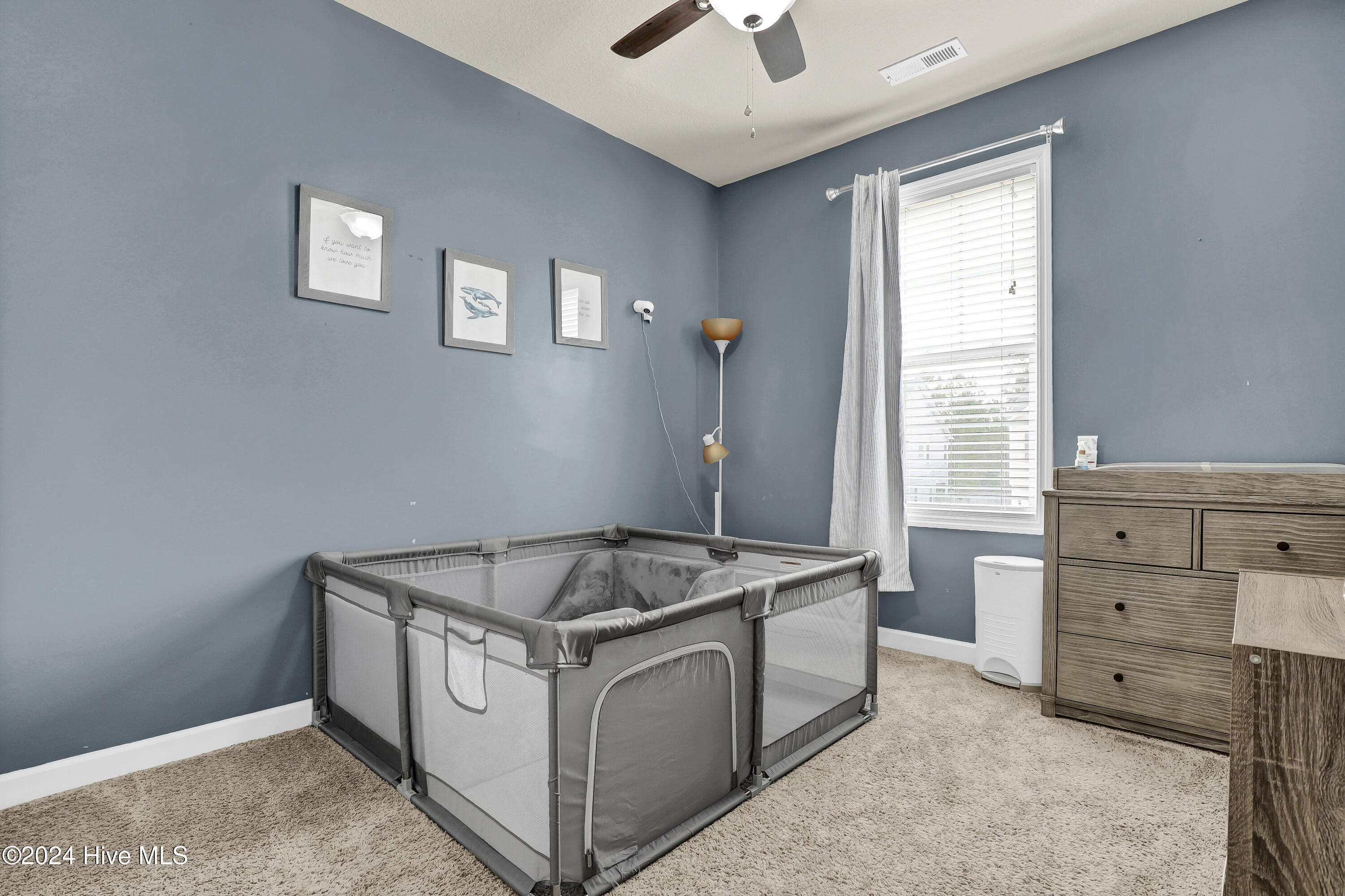 313 Frisco Way Holly Ridge, NC 28445 - Photo 24 of 45 Bedroom 3