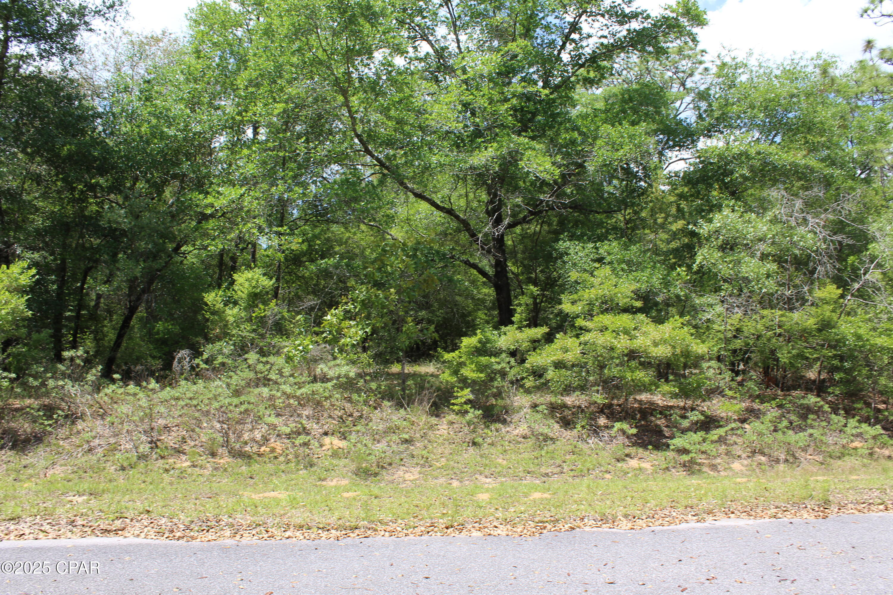Lot 5 Arnone Lane Chipley, FL 32428 - Photo 7 of 11