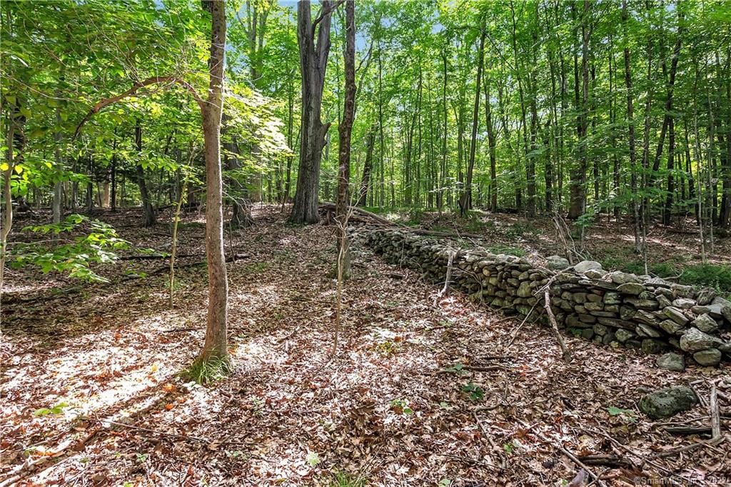 stone wall as property border