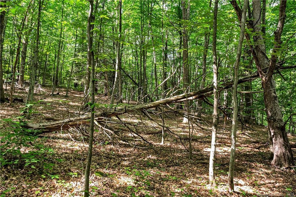 200 North Street Roxbury, CT 06783 - Photo 11 of 20