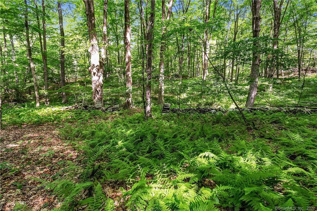 200 North Street Roxbury, CT 06783 - Photo 12 of 20