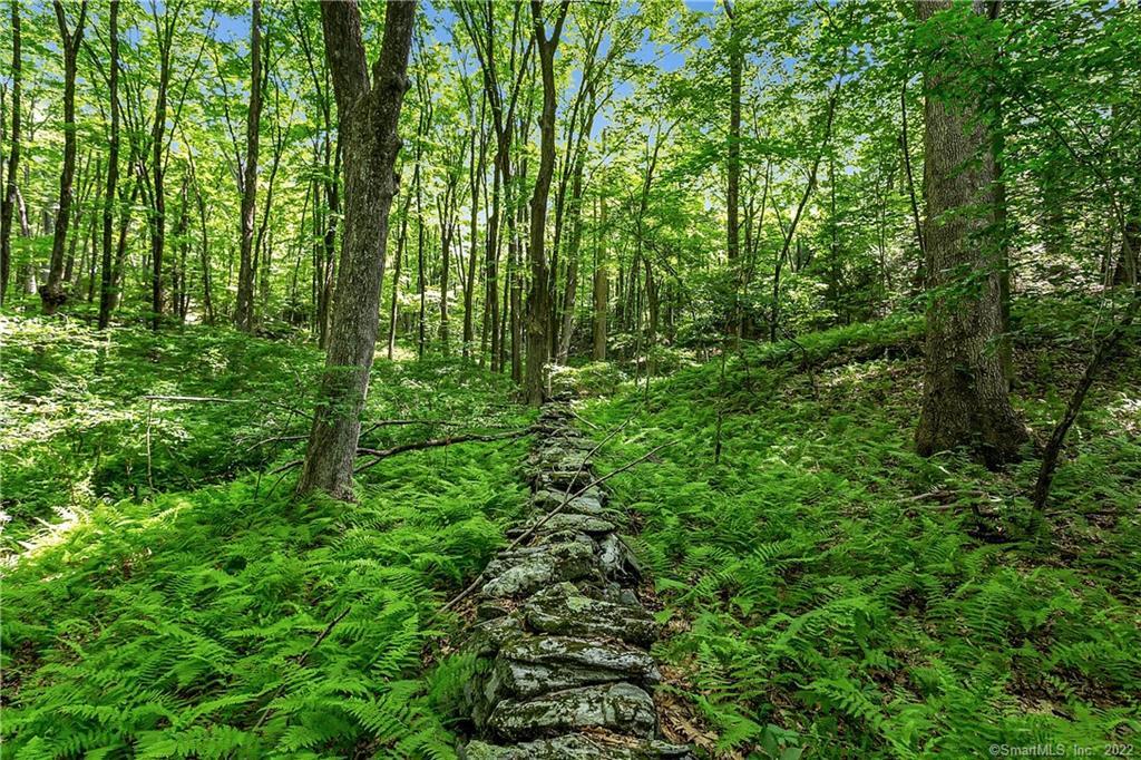 200 North Street Roxbury, CT 06783 - Photo 13 of 20