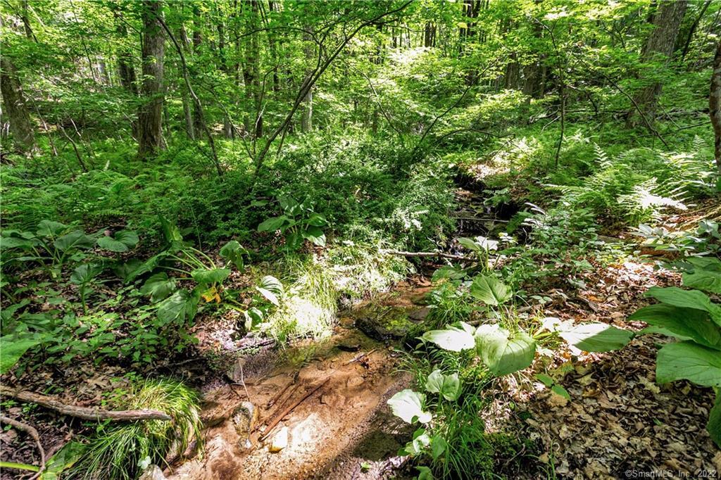 200 North Street Roxbury, CT 06783 - Photo 14 of 20