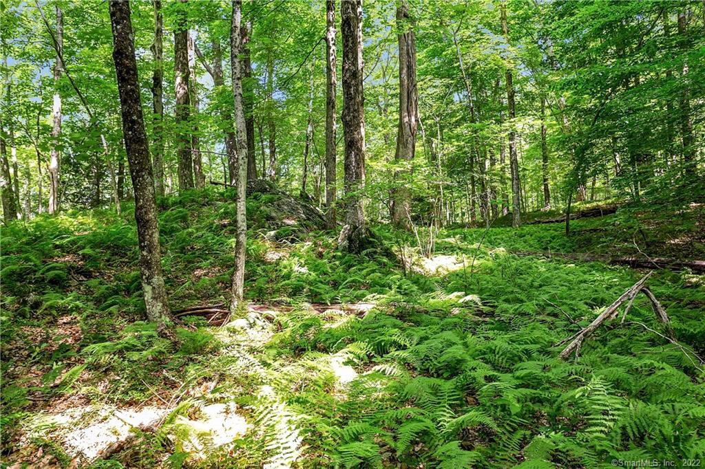 200 North Street Roxbury, CT 06783 - Photo 17 of 20