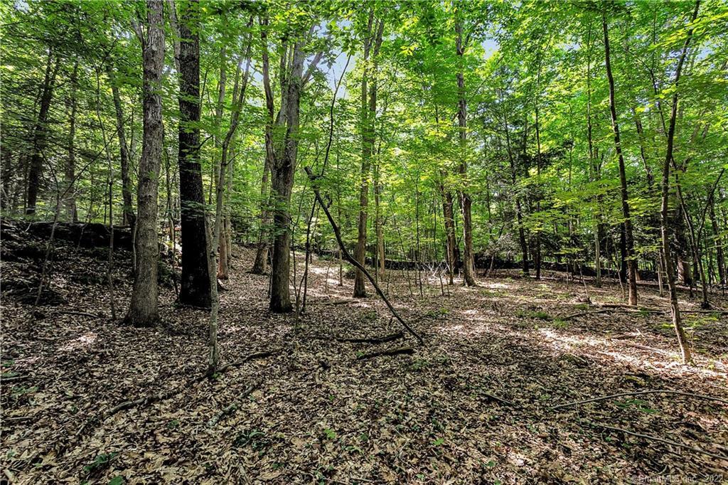 200 North Street Roxbury, CT 06783 - Photo 3 of 20 Home site