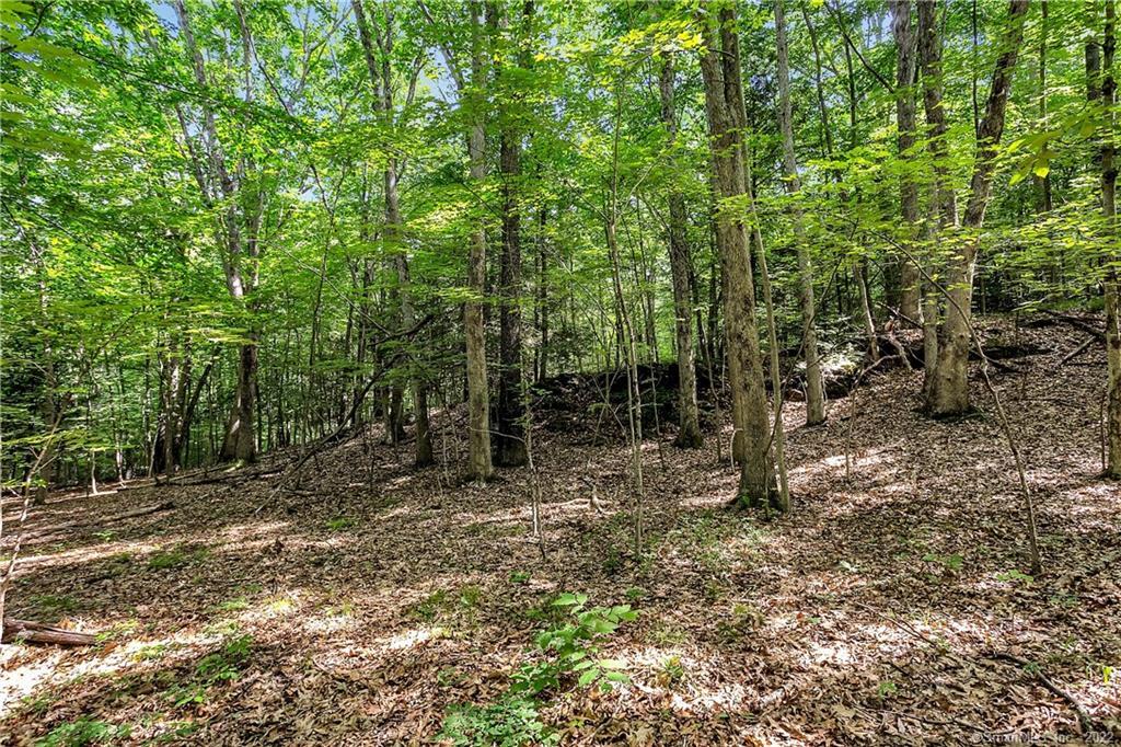 200 North Street Roxbury, CT 06783 - Photo 4 of 20 Home site