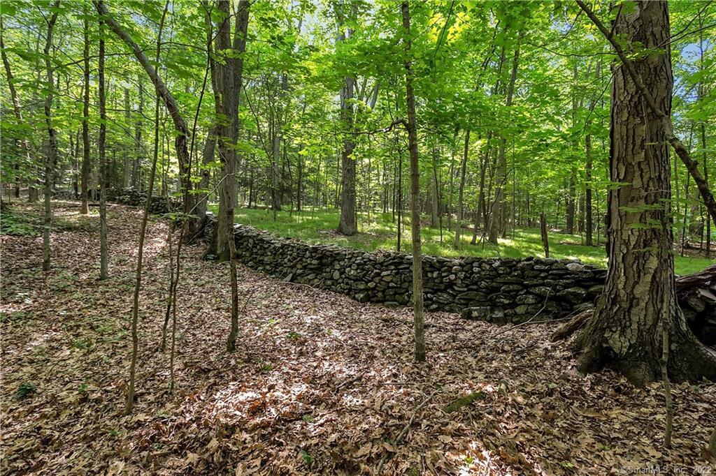 200 North Street Roxbury, CT 06783 - Photo 5 of 20