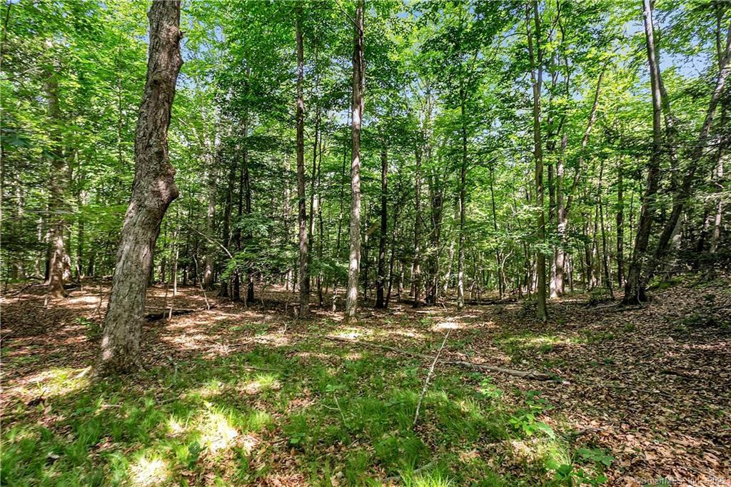 200 North Street Roxbury, CT 06783 - Photo 6 of 20 Home site