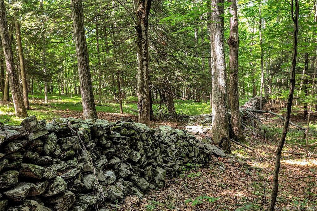 200 North Street Roxbury, CT 06783 - Photo 8 of 20