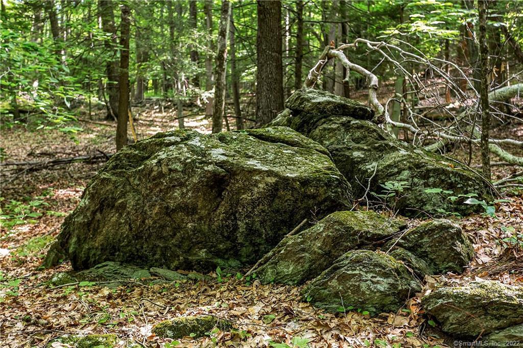 200 North Street Roxbury, CT 06783 - Photo 9 of 20