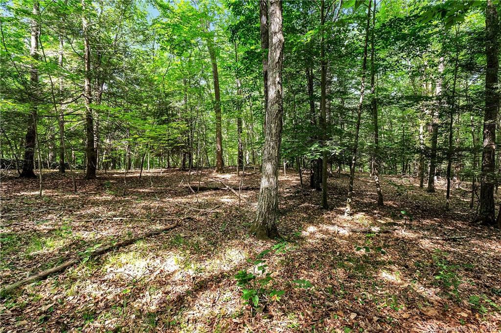 200 North Street Roxbury, CT 06783 - Photo 10 of 20